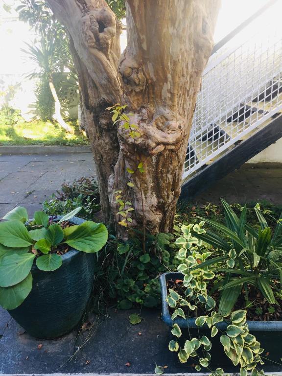 Guest House Teremok room 1